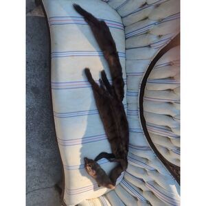 Beautiful Vintage Genuine Mink 4 Pelt Fur Collar Wrap Shawl Cosplay Theater